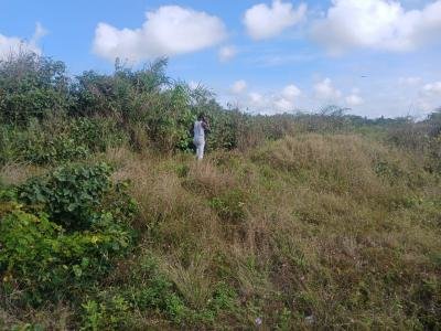 156 Acres Industrial Land in Ewusiejoe, Takoradi